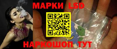 индика Нальчик
