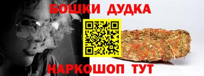 индика Нальчик