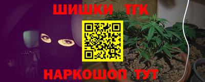 индика Нальчик