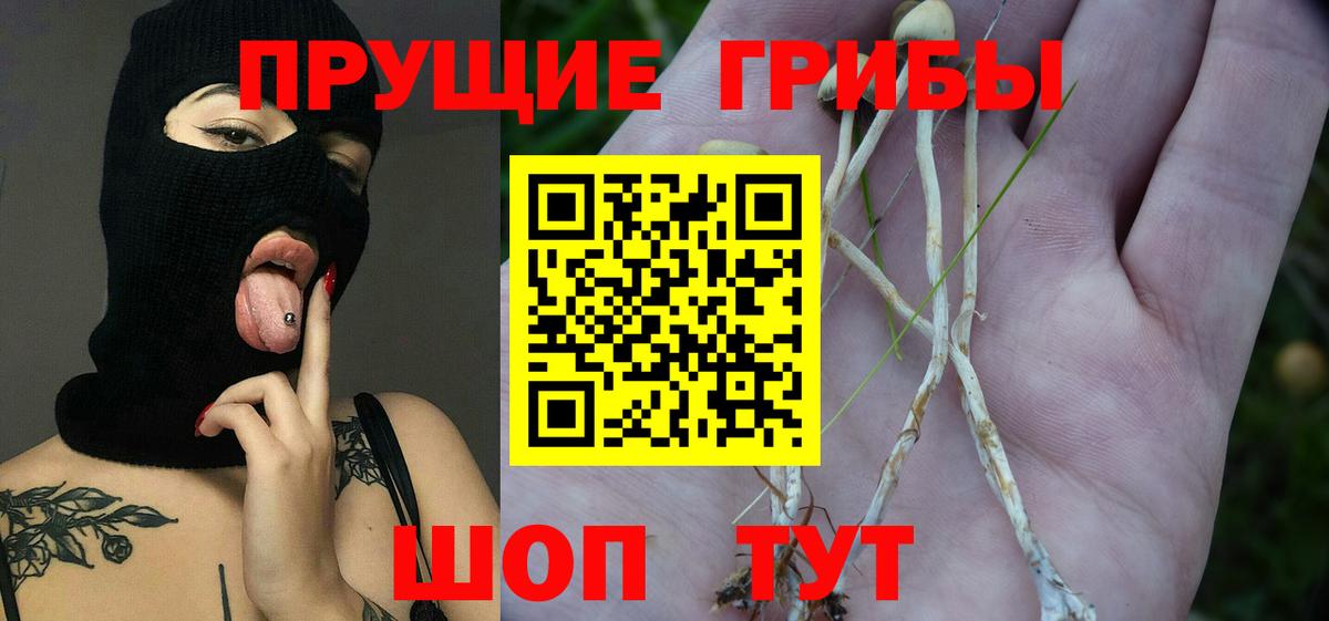 Псилоцибиновые грибы мухоморы Семилуки